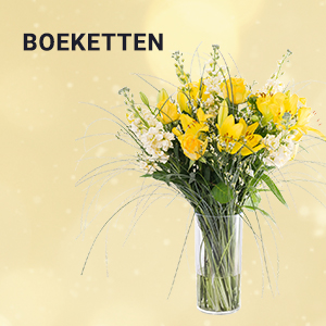 Gift.be ™ - Boeketten