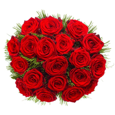 De mooiste variëteit rode rozen... een bloem die ons altijd opnieuw kan verleiden.