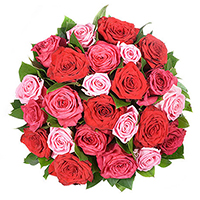 Un bouquet de roses chaleureux, avec 24 roses. Livraison à domicile de roses.