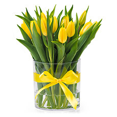 Gele tulpen staan voor vrolijkheid, blijheid en zonneschijn. Een echte oppepper van de dag dus.