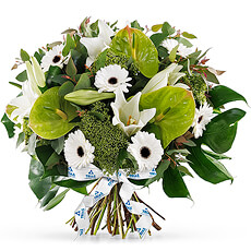 Optez pour ce bouquet sophistiqué aux gerbéras blancs et anthurium vertus.