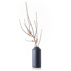 Vase en Aluminium avec une Branche de Cerisier