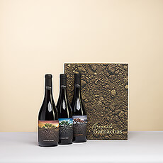 La collection de vins "Proyecto Garnacha De España" est un hommage à une variété qui a toujours été oubliée et qui est maintenant de retour.