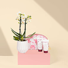 Connaissez-vous une femme qui aurait besoin d'un peu de temps pour se détendre et se ressourcer ? Ce cadeau de soins de luxe Cinq Mondes avec une mini orchidée l'invite à profiter d'une petite journée de spa dans sa propre maison.
