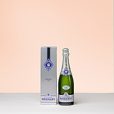 De sprankelende Champagne Pommery Brut Silver Royal in een prachtige geschenkdoos kan een stijlvol geschenk zijn voor relatiegeschenken, feestdagen en andere feestelijkheden zoals bruiloften en verlovingen. De frisse, droge Champagne heeft elegantie, finesse en karakter.