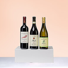 Ontdek de heerlijke wijnen van Italië in deze Italiaanse trio wijndegustatie met Elio Filippino Barolo "La Morra" Rouge en twee Fattoria Terre del Marchesato Bolgheri wijnen - een witte en een rode.