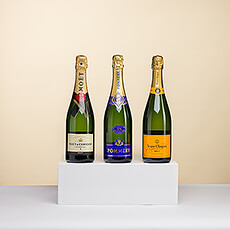 Champagne Tasting