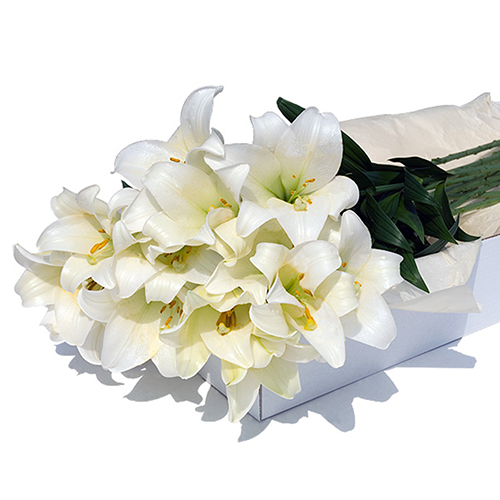 Flower Box Witte Lelies 24 st.