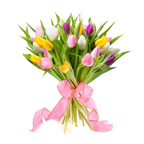 Tulpen uit Amsterdam, 25 st