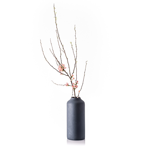 Vase en Aluminium avec une Branche de Cerisier
