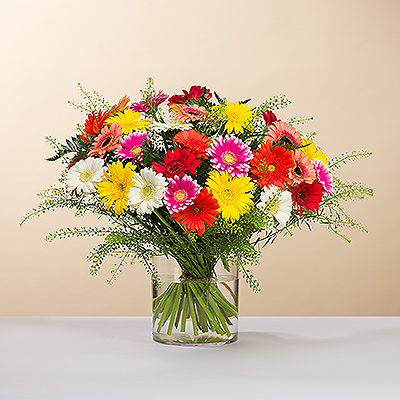 Mettez un sourire sur le visage de quelqu'un avec un ravissant bouquet de marguerites Gerbera fraîches aux couleurs vives!