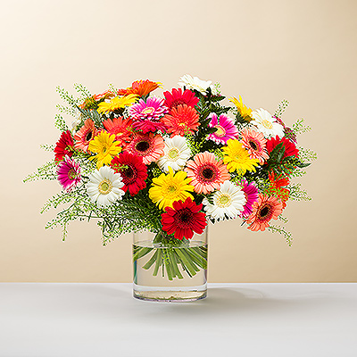 Créez un sourire sur le visage de quelqu'un avec un grand bouquet de gerberas frais aux couleurs vives!
