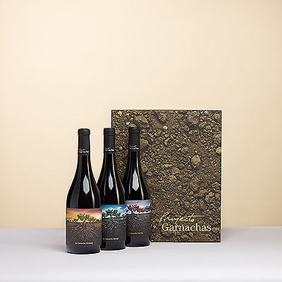 La collection de vins "Proyecto Garnacha De España" est un hommage à une variété qui a toujours été oubliée et qui est maintenant de retour.