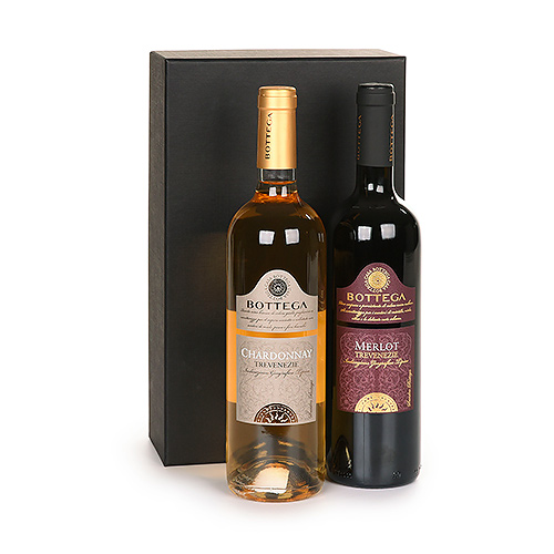 Gifts 2021 : Italian Wine Duo Bottega Trevenezie