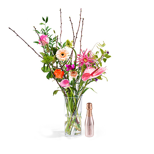 Trendy Surprise & Bottega Rosé 20 cl