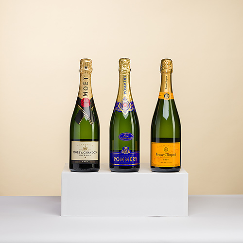 Champagne Tasting