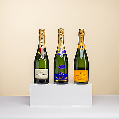 Le champagne français est l&#39;expression ultime du luxe. Cet élégant trio de dégustation de champagne met en scène trois marques emblématiques : Champagne Veuve Clicquot Brut,
Fleuron de Moët & Chandon, Champagne Pommery Brut Royal