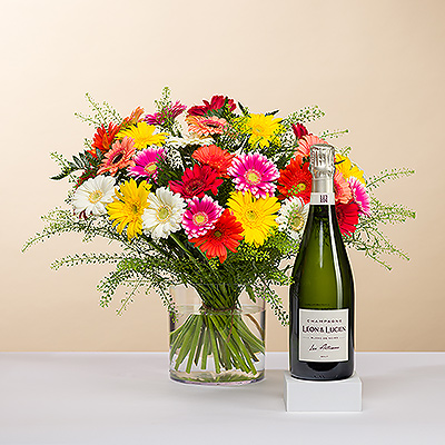 Gerbera Mix Medium &#38; Champagne Leon &#38; Lucien