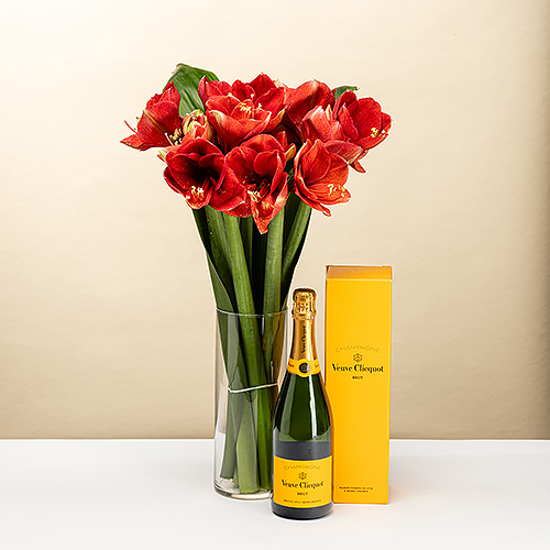 EOY 2025 : Amaryllis with Veuve Clicquot