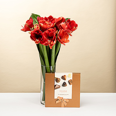 EOY 2025 : Amaryllis with Neuhaus Discovery