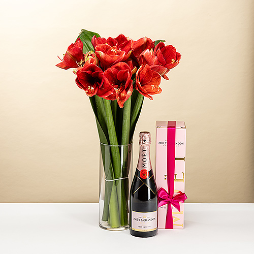 EOY 2025 : Amaryllis with Moët & Chandon Rosé