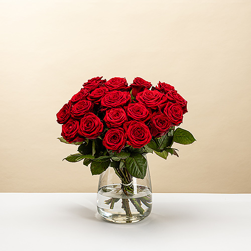 EOY 2025 : Red Roses