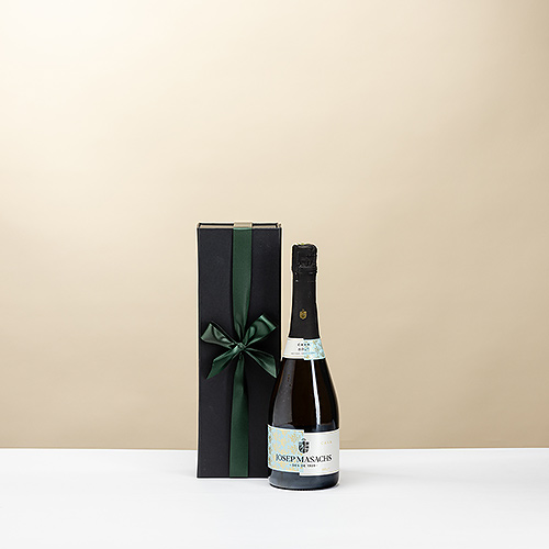 Cava Josep Masachs Tradicional Brut