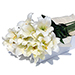 Flower Box Witte Lelies 12 st. [01]