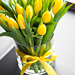 Gele tulpen [02]