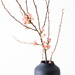 Vase en Aluminium avec une Branche de Cerisier [02]