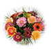 Gerbera Mélange Bouquet Medium (30 cm) [02]