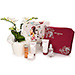 Cinq Mondes gift with Orchidee [01]