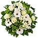 Bouquet Simply White & Prosecco Bottega Gold [04]