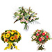 Seasonal Bouquet & Oxfam Bio Ecologica Torrontés Sparkling Brut [04]