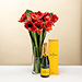 EOY 2025 : Amaryllis with Veuve Clicquot [01]