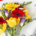 Abonnement Fleurs au bureau multicolore [01]