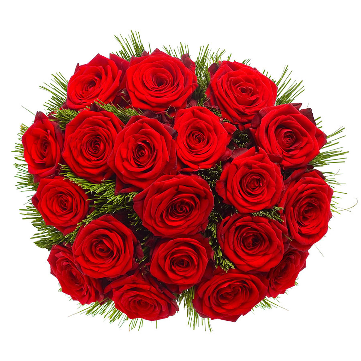 24 Premium Rode Rozen Geschenk Gift be